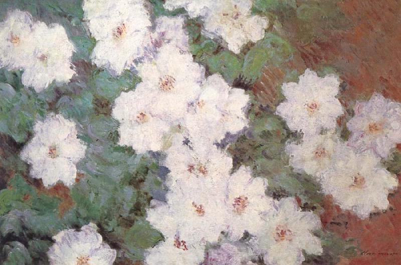 Claude Monet Clematis oil painting picture